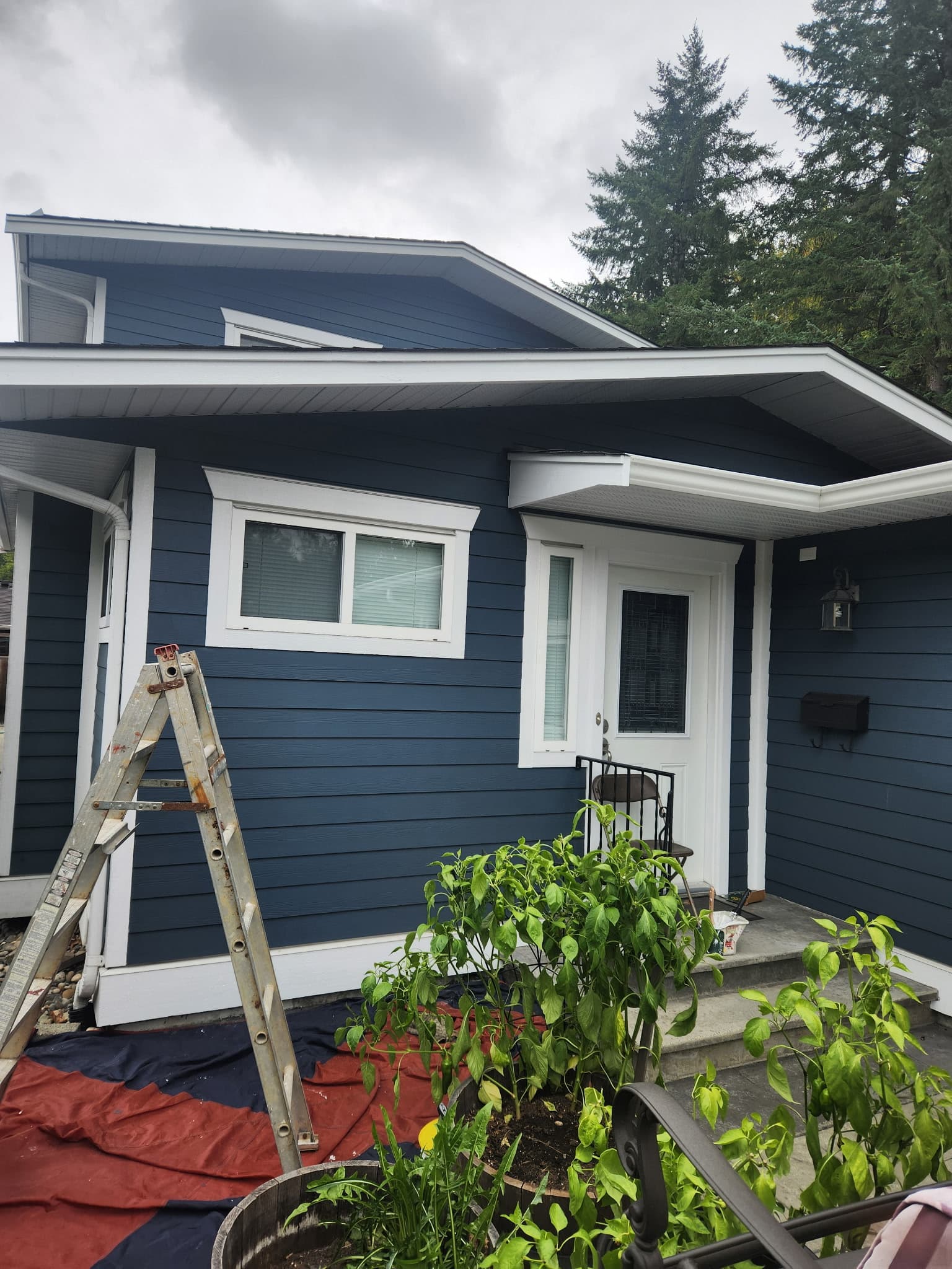 Dark blue house with white trim, a ladder, and drop cloths for exterior painting.